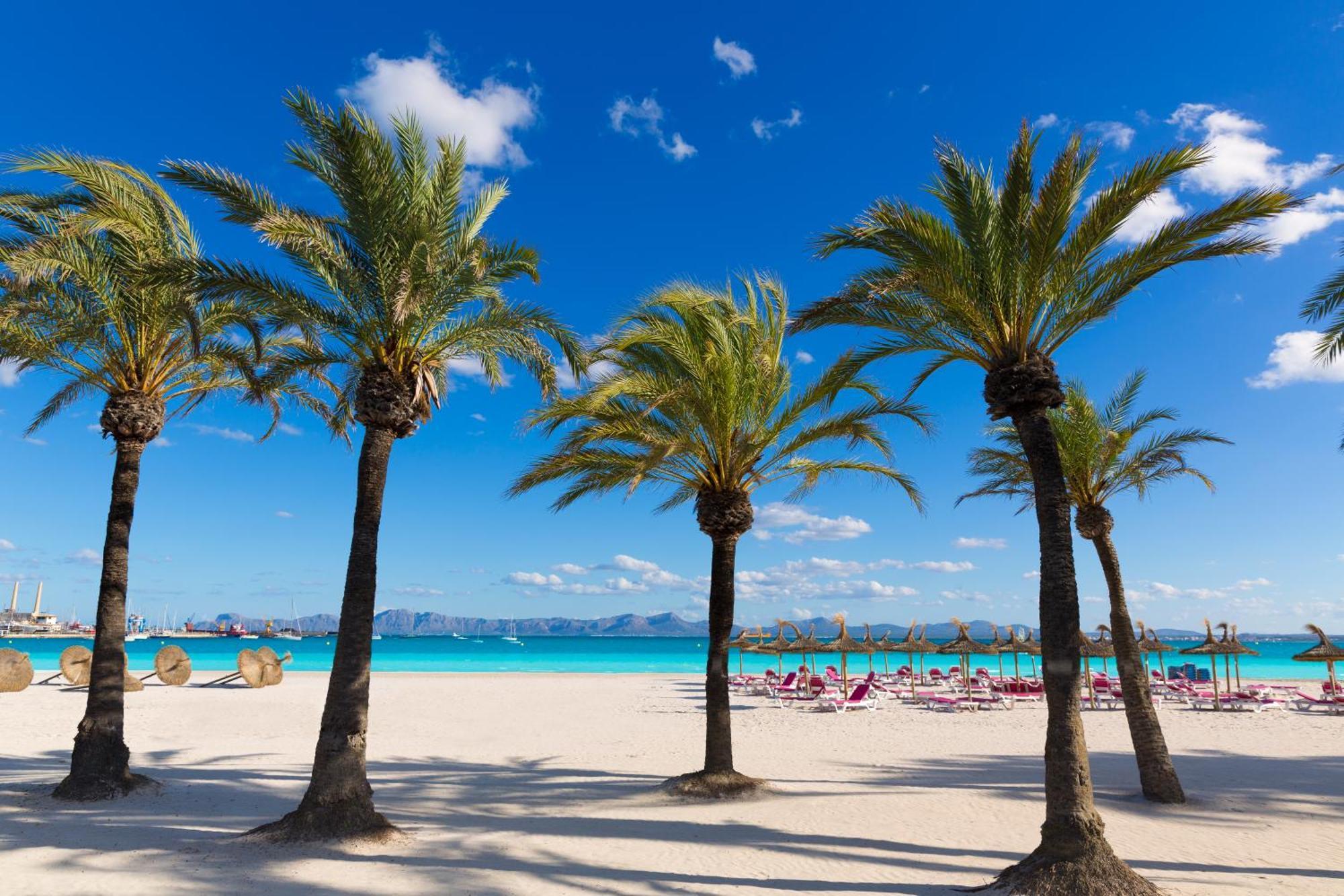 Alcudia Garden Aparthotel Port de Alcudia  Ngoại thất bức ảnh